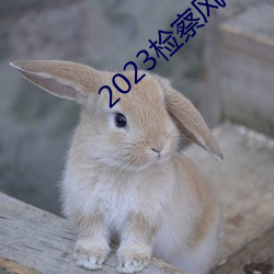 2023檢察風雲在線觀看