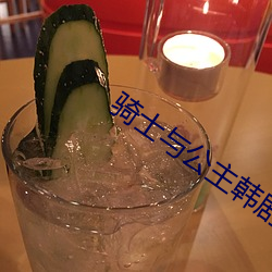 骑士(shì)与(yǔ)公主韩剧