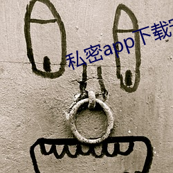 私(私)密app下载安装(裝)