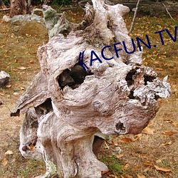 《ACFUN.TV