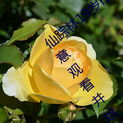 仙踪林19岁rapper潮水(shuǐ)欢迎(yíng)你:能(néng)够让你随(suí)意观看(kàn)并给你一个(gè)