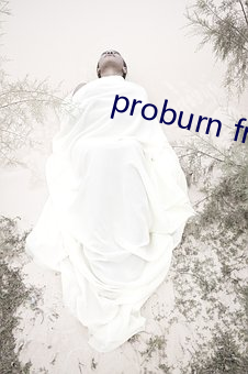 proburn free