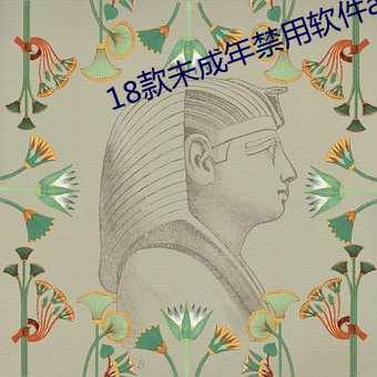 18款未成年(年)禁(禁)用软件(件)app