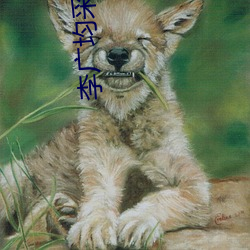 李广(guǎng)均采(cǎi)访(fǎng)完整视(shì)频29分