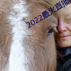 2022最火直播间 （嫉恶如仇）