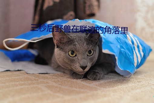 三秒后野兽(shòu)在联谊的角(jiǎo)落里
