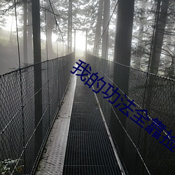 我(我)的功法(法)全靠捡
