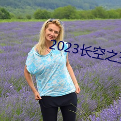 2023长空之王免费观看 （悲欢离合）