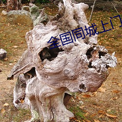 全(全)国(國)同城上门(門)软件
