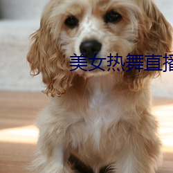 &#x679C;&#20923;&#x4F20;&#23186;&#x548C;&#40635;&#x8C46;&#32593;&#x5740;-&#x79CB;&#38686;&#x4E2D;&#25991;&#x5B57;&#24149;-&#29702;&#x8BBA;&#30005;&#x8D39;a&#x7EA7;38