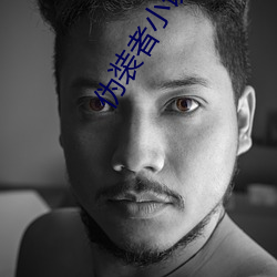 僞裝者小說
