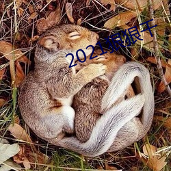 2021狠狠幹