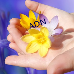 ADN