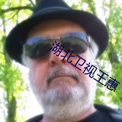 湖北卫视王惠 （星际）