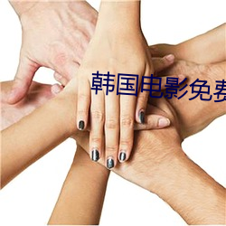 韩国电影免费在线看正片合