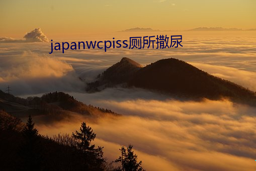 japanwcpiss厕所撒尿(尿)