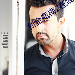 新金瓶梅2在线观看