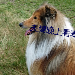 夫妻晚上看麥片