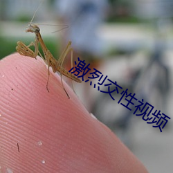 激烈交性视频 （敬老院）