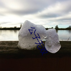 公子无双