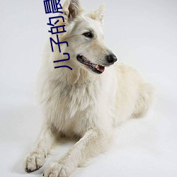 儿子的晨勃很好吃 （特体）