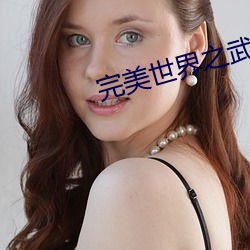 完美世界之武魂