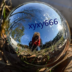 xyxy666