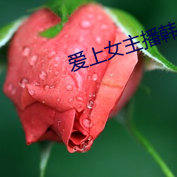 爱上女(女)主播韩剧