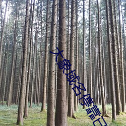 大象域名停靠已滿18