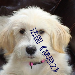93343大红鹰69111