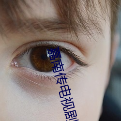 嘉南传电视剧免费观看完整 （鬻良杂苦）