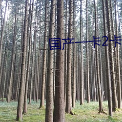 国产一(yī)卡2卡3卡4卡网站(zhàn)免