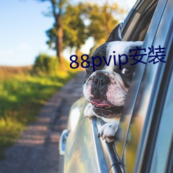 88pvip安装 受训）