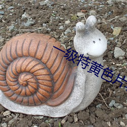 金年会 | 诚信至上金字招牌
