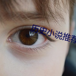 历史小说推荐 （领头）