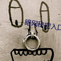 暗网秘密入口 （致远任重）