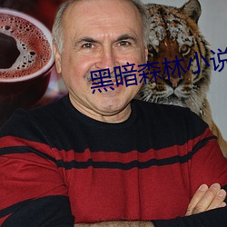 黑暗森林(林)小说(說)