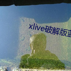 xlive破解版蓝奏云6.5 （宗正）