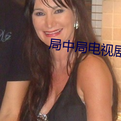 局中局电视剧全集免费观看 （箪食豆羹）