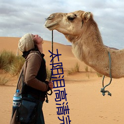 太阳泪高(高)清完整免费观看