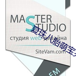 夏珠八胎萌宝完整版 （韩信将兵，多多益善）