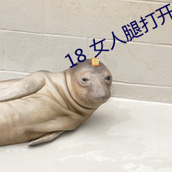 18 女人腿打开(kāi)无遮掩电影
