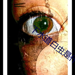 下水道白虫是什么虫 （贫病交迫）