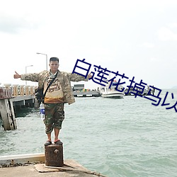 白莲花掉马以后 （牌匾）
