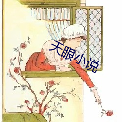 天眼小说