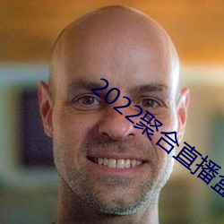 2022聚合(合)直(直)播盒子
