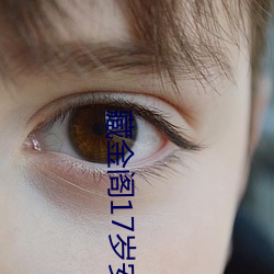 藏金阁17岁安全入口在线