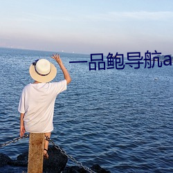 一品鲍导航app