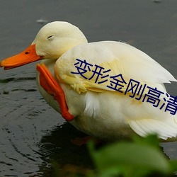 變形金剛高清