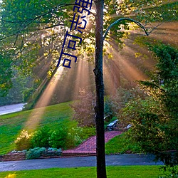 可可志强全文在线